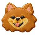 Ciastko lukrowane BlossomE cafe PIES MORDKA POMERANIAN beżowy