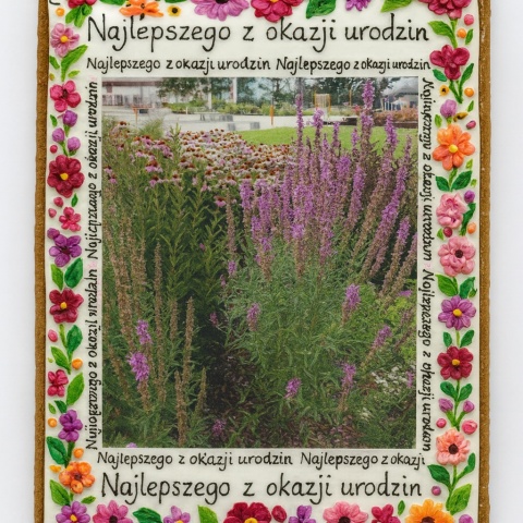 Ciastko lukrowane Życzenia KWIATY OGRÓD roz.M PION No.4A ręcznie robione Ciastko lukrowane Życzenia KWIATY OGRÓD roz.M PION No.4A ręcznie robione