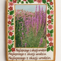 Ciastko lukrowane Życzenia KWIATY OGRÓD roz.XL PION No.4B ręcznie robione