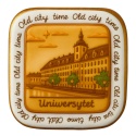 Ciastko lukrowane KAMIENICE WROCŁAW PAMIĄTKA KWADRAT No.14 roz.Lręcznie robione